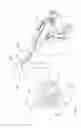 Fig. 115 - Arthroscopic surgical device