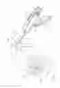 Fig. 117 - Arthroscopic surgical device