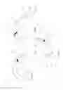 Fig. 26 - Arthroscopic surgical device
