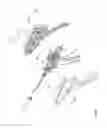 Fig. 33 - Arthroscopic surgical device