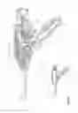 Fig. 86 - Arthroscopic surgical device