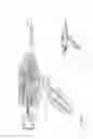 Fig. 95 - Arthroscopic surgical device
