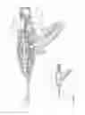 Fig. 96 - Arthroscopic surgical device