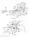 Fig. 27 - Intramedullary nail alignment guides, fixation guides, devices, systems, and methods of use