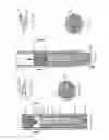 Fig. 26 - ECHOGENIC NEEDLES AND METHODS FOR MANUFACTURING ECHOGENIC NEEDLES