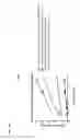 Fig. 17 - Flow and delivery apparatus