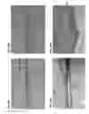 Fig. 37 - Flow and delivery apparatus