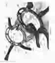 Fig. 04 - BONE FIXATOR APPARATUS