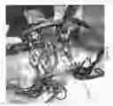 Fig. 09 - BONE FIXATOR APPARATUS