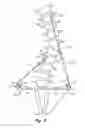 Fig. 06 - Device and method for treatment of spinal deformity