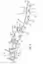 Fig. 03 - Bone plate for plate osteosynthesis and method for use thereof