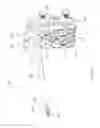 Fig. 11 - Splayed cable guide for a medical instrument