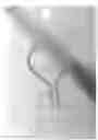 Fig. 05 - Safety apparatus