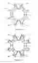 Fig. 10 - Animal dental hygienic device