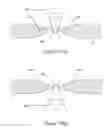 Fig. 13 - Animal dental hygienic device
