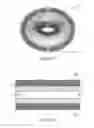 Fig. 15 - Animal dental hygienic device