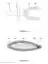 Fig. 16 - Animal dental hygienic device