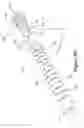 Fig. 21 - Animal dental hygienic device