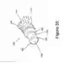 Fig. 27 - Animal dental hygienic device