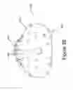 Fig. 30 - Animal dental hygienic device