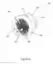 Fig. 34 - Animal dental hygienic device