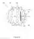 Fig. 37 - Animal dental hygienic device
