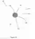 Fig. 38 - Animal dental hygienic device