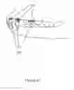 Fig. 45 - Animal dental hygienic device