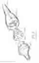 Fig. 12 - Kit of parts including a urological device