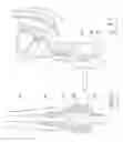 Fig. 19 - Kit of parts including a urological device