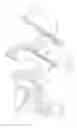 Fig. 29 - Kit of parts including a urological device