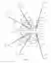 Fig. 03 - Devices and methods for treating pelvic floor dysfunctions