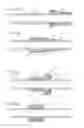 Fig. 171 - Apparatus for controlling flow in a bodily organ