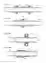 Fig. 174 - Apparatus for controlling flow in a bodily organ