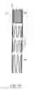 Fig. 17 - Branched vessel endoluminal device