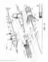 Fig. 41 - Branched vessel endoluminal device