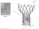 Fig. 01 - Bioprosthetic tissue for use in a prosthetic valve