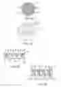 Fig. 03 - Bioprosthetic tissue for use in a prosthetic valve
