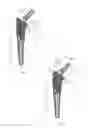 Fig. 06 - Hip stem prosthesis with a porous collar to allow for bone ingrowth