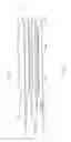 Fig. 09 - Balloon catheter for multiple adjustable stent deployment