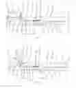 Fig. 04 - Therapy device