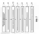 Fig. 19 - Systems and Methods for Creating Custom-Fit Exoskeletons