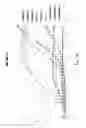 Fig. 12 - ARGININE-CONTAINING RESTORATIVE DENTAL MATERIALS AND METHODS OF PREVENTING AND CONTROLLING CARIES ASSOCIATED WITH DENTAL WORK