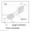 Fig. 01 - Oil-in-water emulsion composition