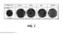 Fig. 02 - Method and composition for lightening skin using a cell culture extract