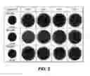 Fig. 03 - Method and composition for lightening skin using a cell culture extract