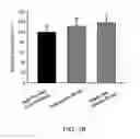Fig. 03 - A PHARMACEUTICAL COMPOSITION FOR REDUCING LOCAL FAT AND USES THEREOF