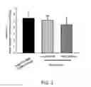 Fig. 06 - A PHARMACEUTICAL COMPOSITION FOR REDUCING LOCAL FAT AND USES THEREOF