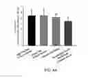 Fig. 07 - A PHARMACEUTICAL COMPOSITION FOR REDUCING LOCAL FAT AND USES THEREOF