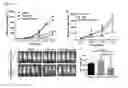 Fig. 04 - Cationic liposomes for cancer immunotherapy